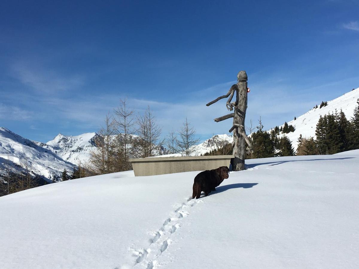 Oberwoelz Stadt Zum Wohleアパートホテル エクステリア 写真