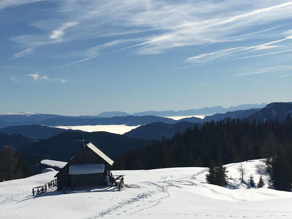 Oberwoelz Stadt Zum Wohleアパートホテル エクステリア 写真