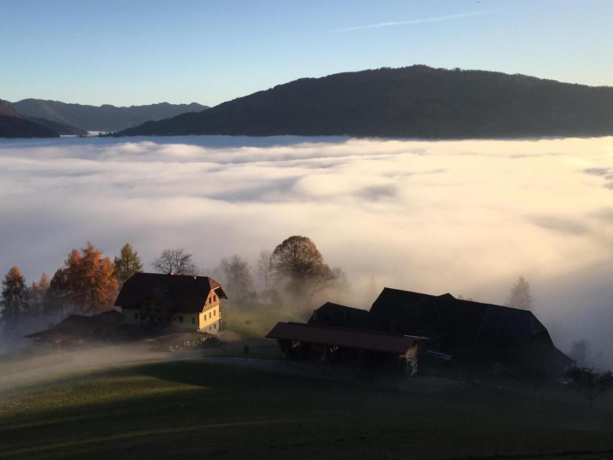 Oberwoelz Stadt Zum Wohleアパートホテル エクステリア 写真
